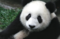 Thumb screen shot 2016 05 18 at 10.18.41 am