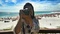 Thumb airbrush 20170526001620 01