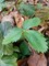 Thumb img1168508947