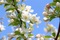Thumb img 0059